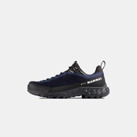 Alnasca IV Low GTX Women