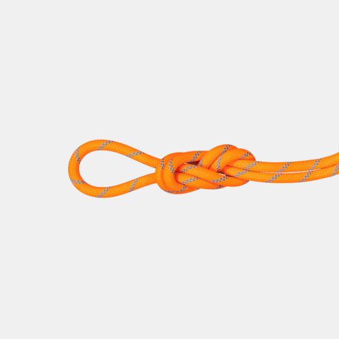 8.7 Alpine Sender Dry Rope 70m