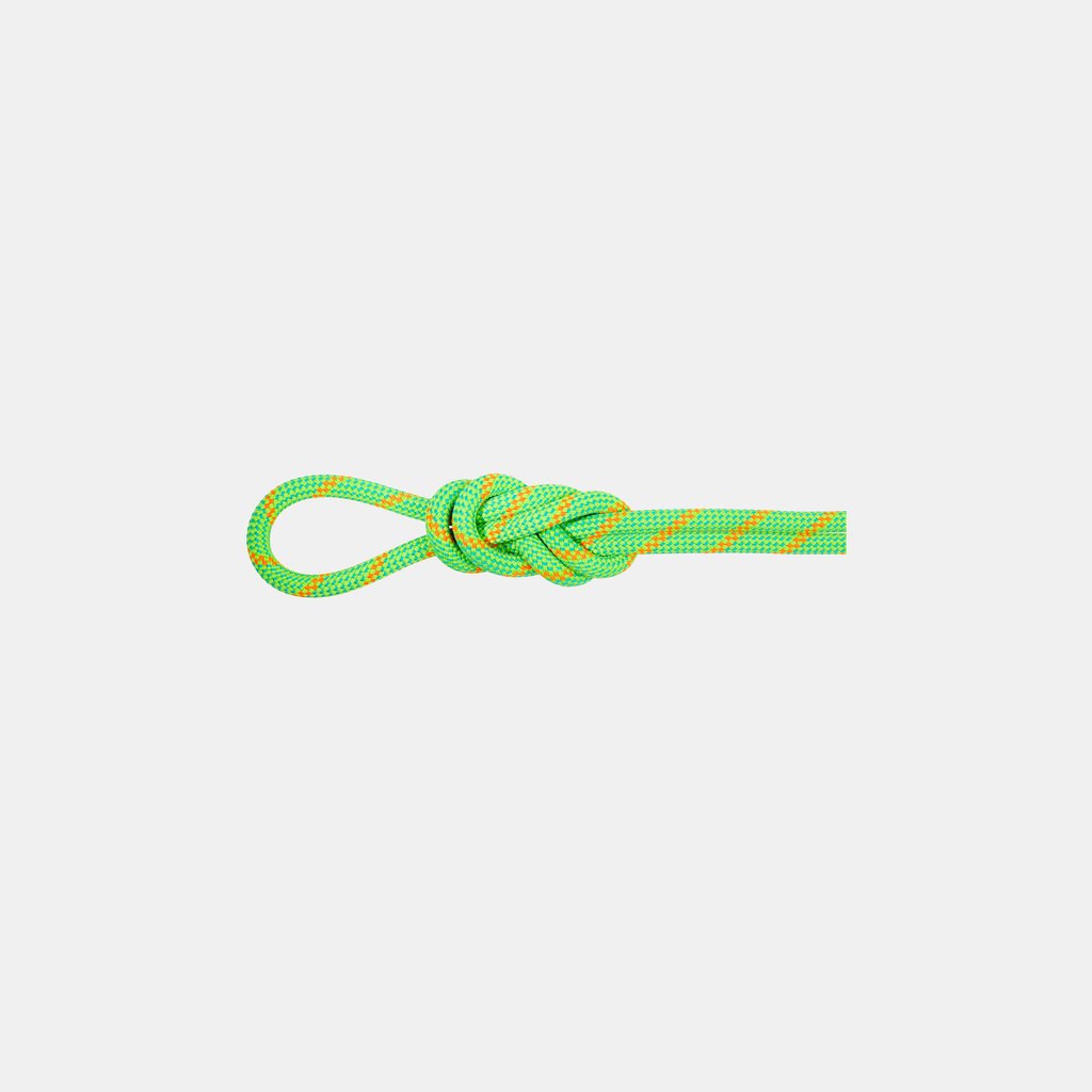 8.0 Alpine Dry Rope 60m