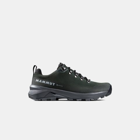 Ducan III Low LTH GTX Men