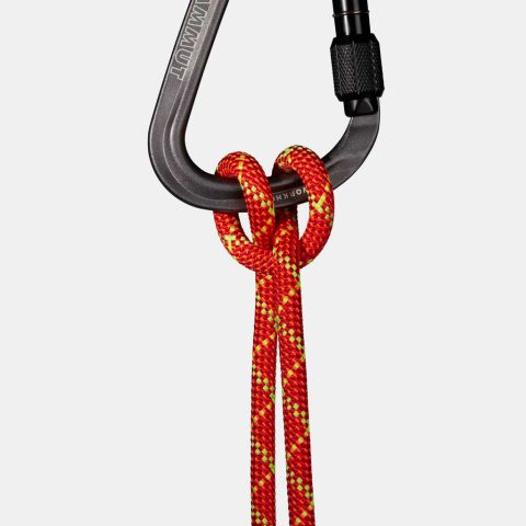 8.0 Alpine Core Protect Dry Rope 60m