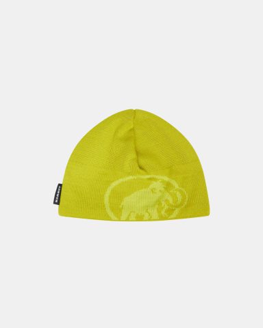 Tweak Beanie