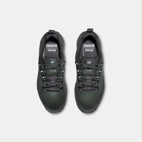 Ducan III Low LTH GTX Men