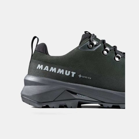 Ducan III Low LTH GTX Men