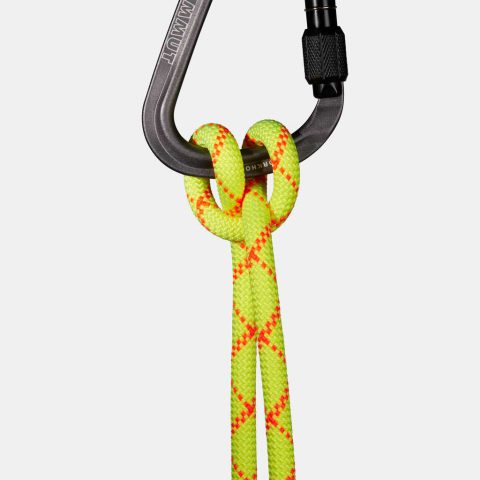 9.5 Alpine Core Protect Dry Rope 60m