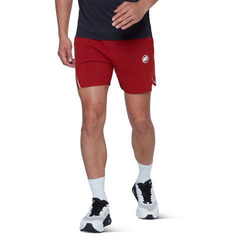 Aenergy TR Shorts Men