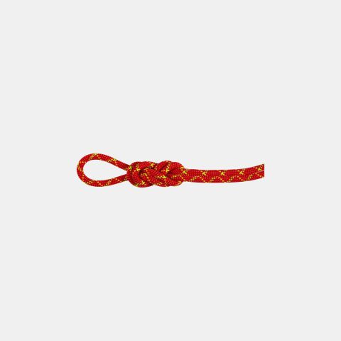 8.0 Alpine Core Protect Dry Rope 60m