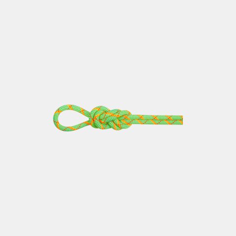 8.0 Alpine Core Protect Dry Rope 50m