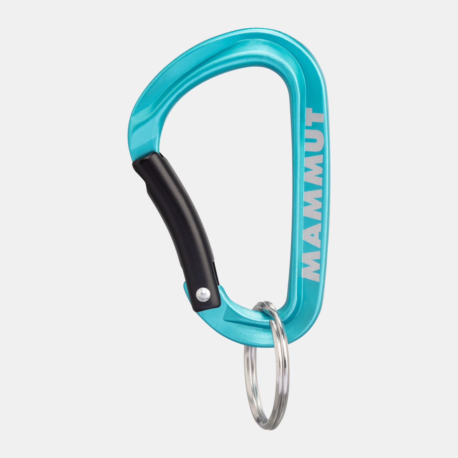 Mammut Mini Carabiner Classic Keylock S
