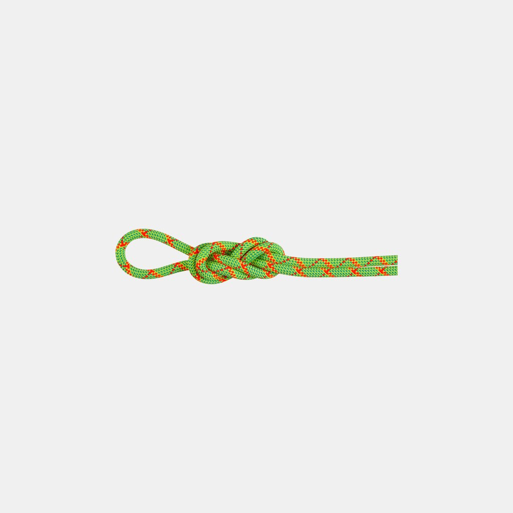 8.0 Alpine Core Protect Dry Rope 40m