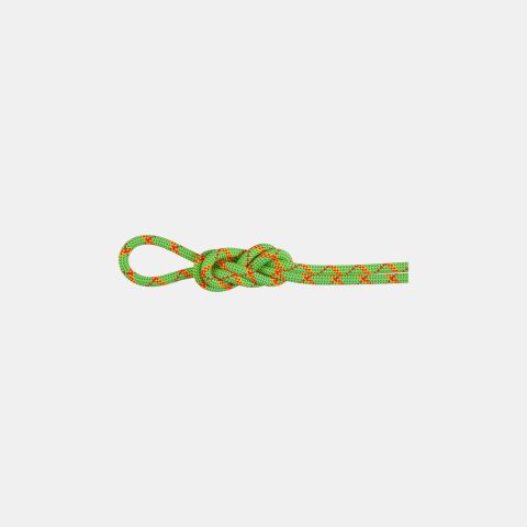 8.0 Alpine Core Protect Dry Rope 40m