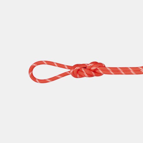 8.0 Alpine Classic Rope 60m
